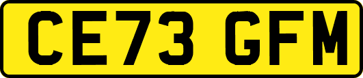 CE73GFM