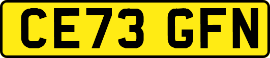 CE73GFN