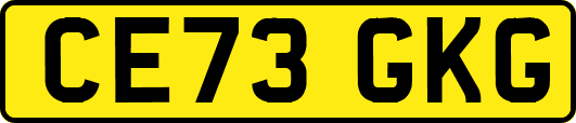 CE73GKG