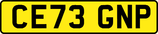 CE73GNP