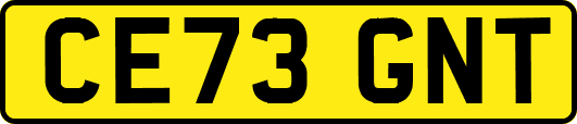 CE73GNT