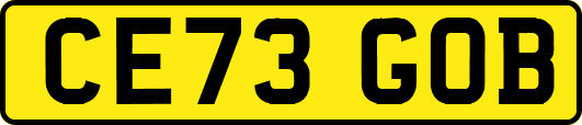 CE73GOB