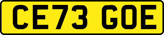 CE73GOE