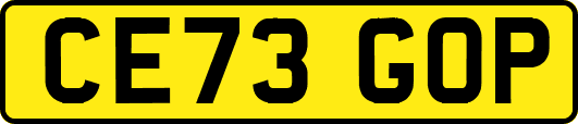 CE73GOP