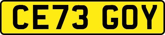 CE73GOY