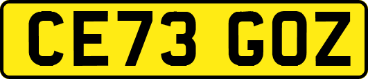 CE73GOZ