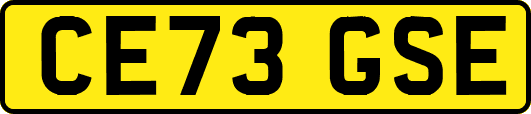 CE73GSE