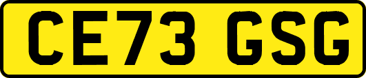 CE73GSG