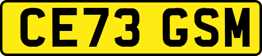 CE73GSM