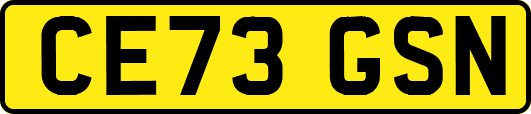 CE73GSN