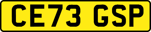 CE73GSP