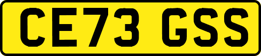CE73GSS