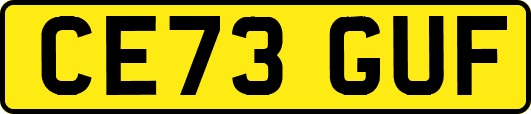 CE73GUF