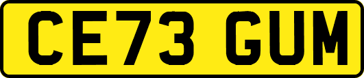 CE73GUM