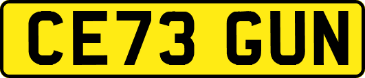 CE73GUN