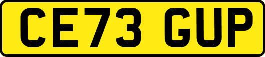 CE73GUP