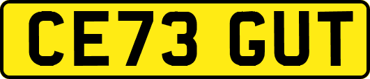 CE73GUT