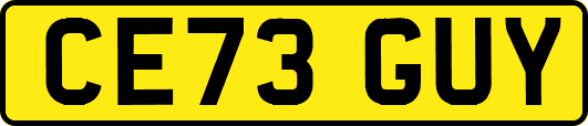 CE73GUY