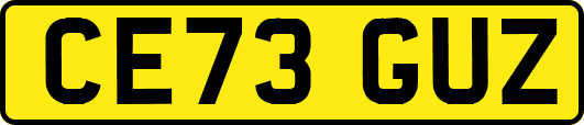 CE73GUZ