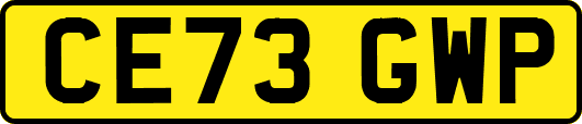 CE73GWP