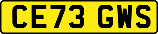 CE73GWS