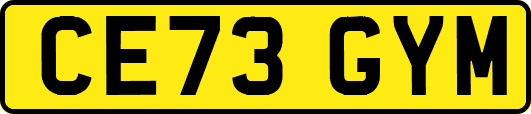 CE73GYM