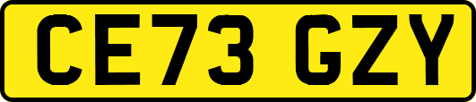 CE73GZY