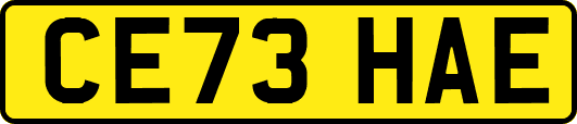 CE73HAE