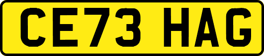 CE73HAG