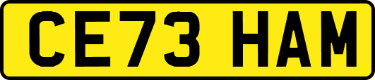 CE73HAM