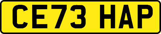 CE73HAP