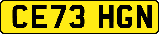 CE73HGN