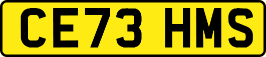 CE73HMS