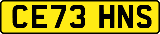 CE73HNS