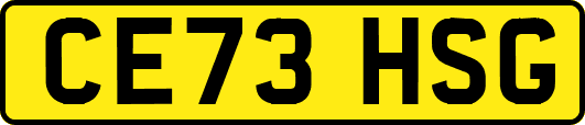 CE73HSG