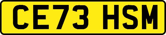CE73HSM