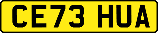 CE73HUA