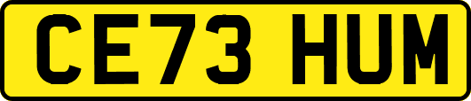 CE73HUM