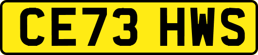 CE73HWS
