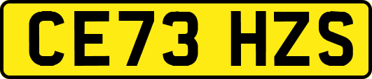 CE73HZS