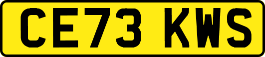 CE73KWS