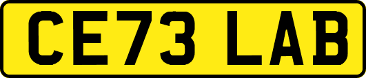 CE73LAB
