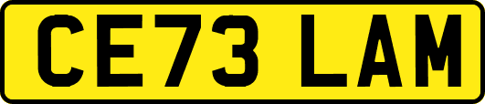 CE73LAM