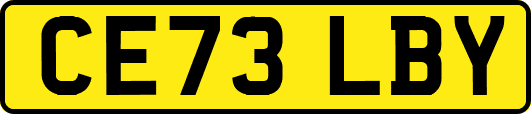CE73LBY