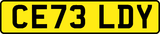 CE73LDY