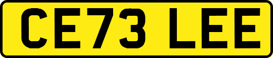 CE73LEE