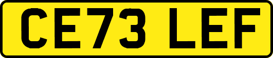 CE73LEF