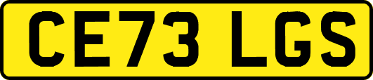 CE73LGS