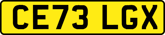CE73LGX