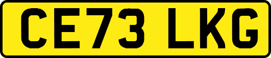 CE73LKG